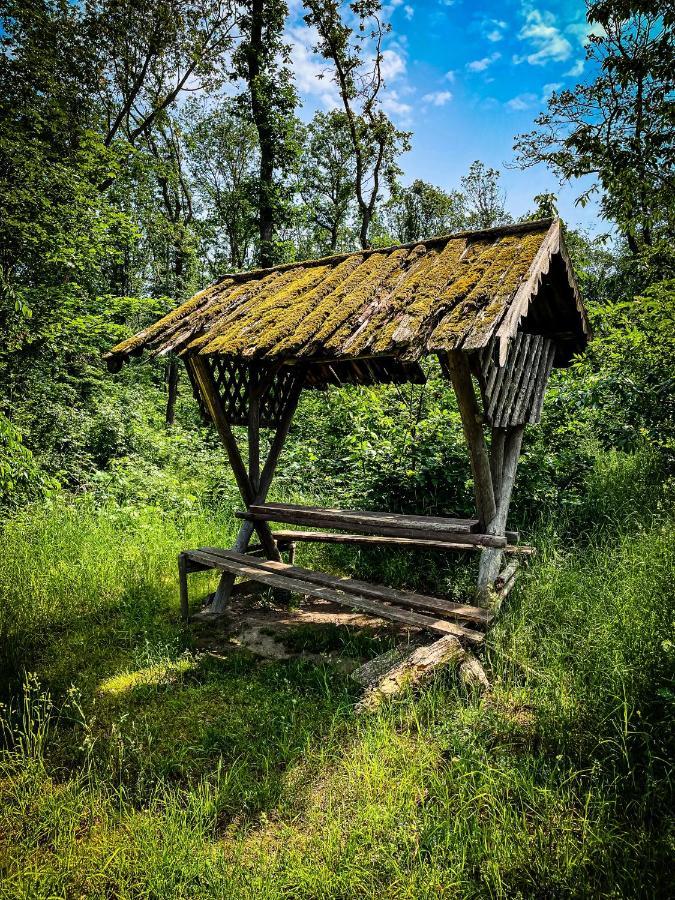 Gaestehaus An Der Berbke Arnsberg Dış mekan fotoğraf